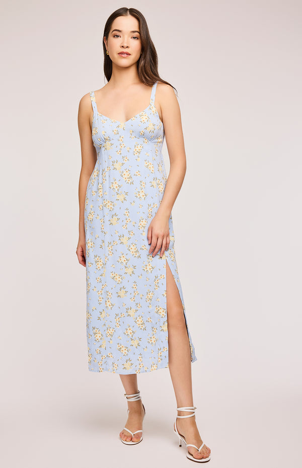 Lysandra Midi Dress I Sky Floral